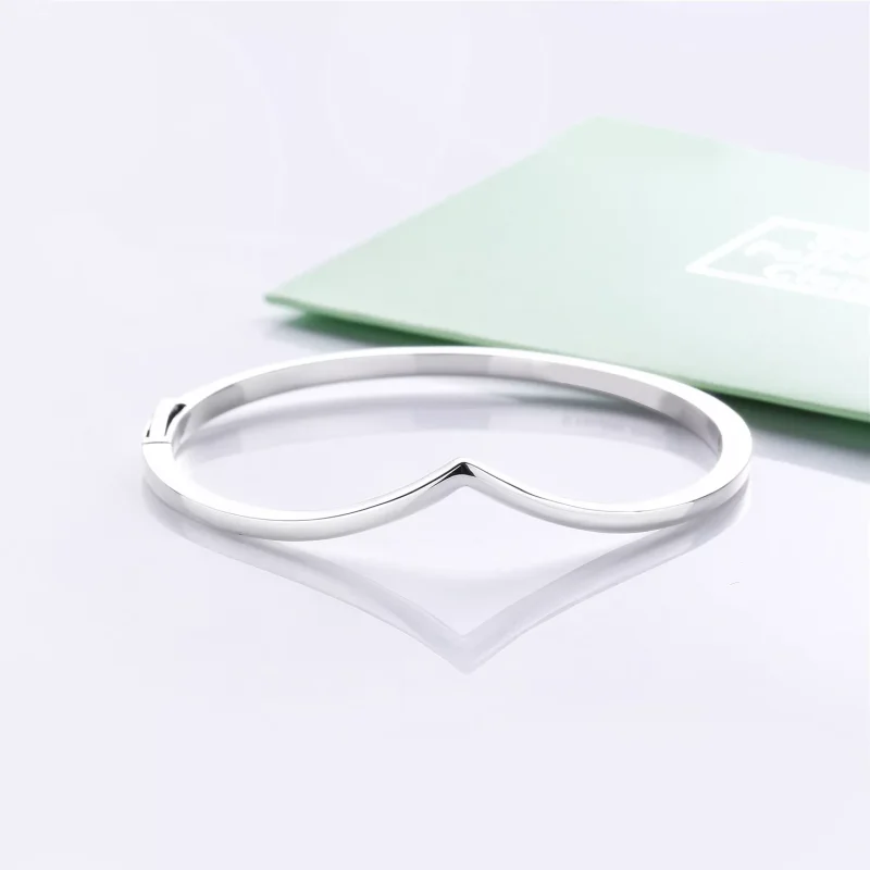 (kuva) Shining Wish Bangle - 597791 - Rannekorut | PANDORA - Näytä 3