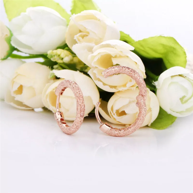 (kuva) PANDORA Rose korvarenkaat - Matte brilliance - Näytä 4