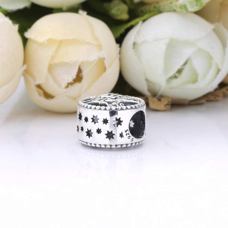 (kuva) PANDORA Harry Potter, Tylypahkan noitien ja velhojen koulun Charm - 798622C00 - Näytä 4
