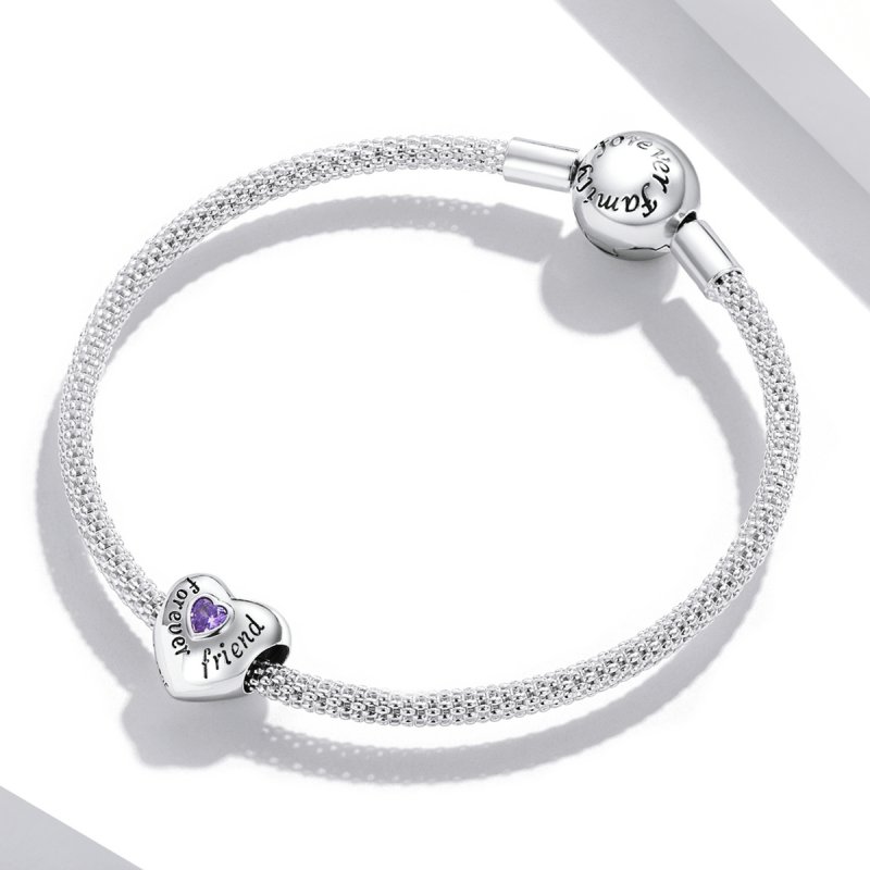 (kuva) Pandora-tyylinen Ystävyyden Amuletti Koru - BSC562-VT - Näytä 3