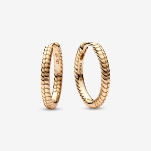 (kuva) Pandora Moments Small Charm -korvarenkaat - 262728C00