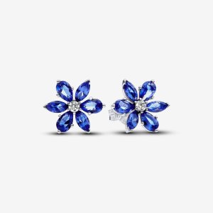 (kuva) Pandora Sparkling Blue Herbarium Cluster Korvakorut - 292407C01