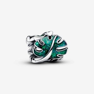 (kuva) Pandora Vihreä Monstera Lehdet - Charm - 793332C01
