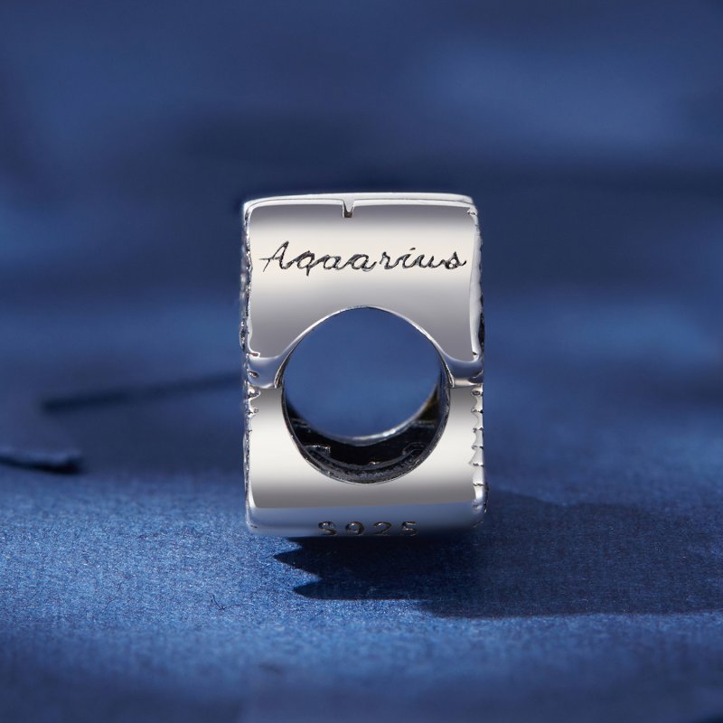 (kuva) Pandora-tyylinen Vesimies Onnen Eläinradan Amuletti - SCC2516-12 - Näytä 3