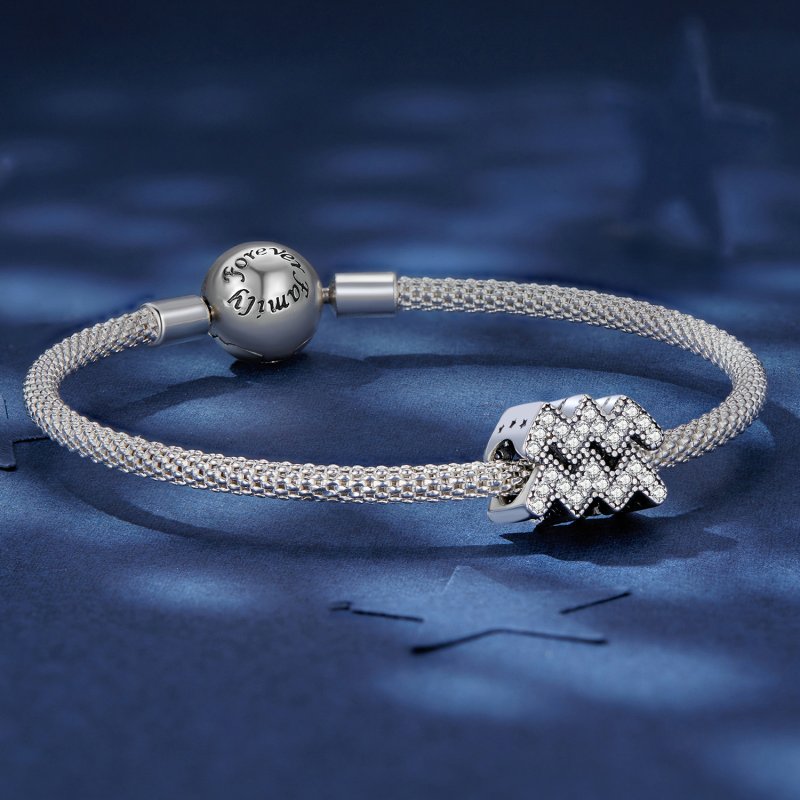 (kuva) Pandora-tyylinen Vesimies Onnen Eläinradan Amuletti - SCC2516-12 - Näytä 5