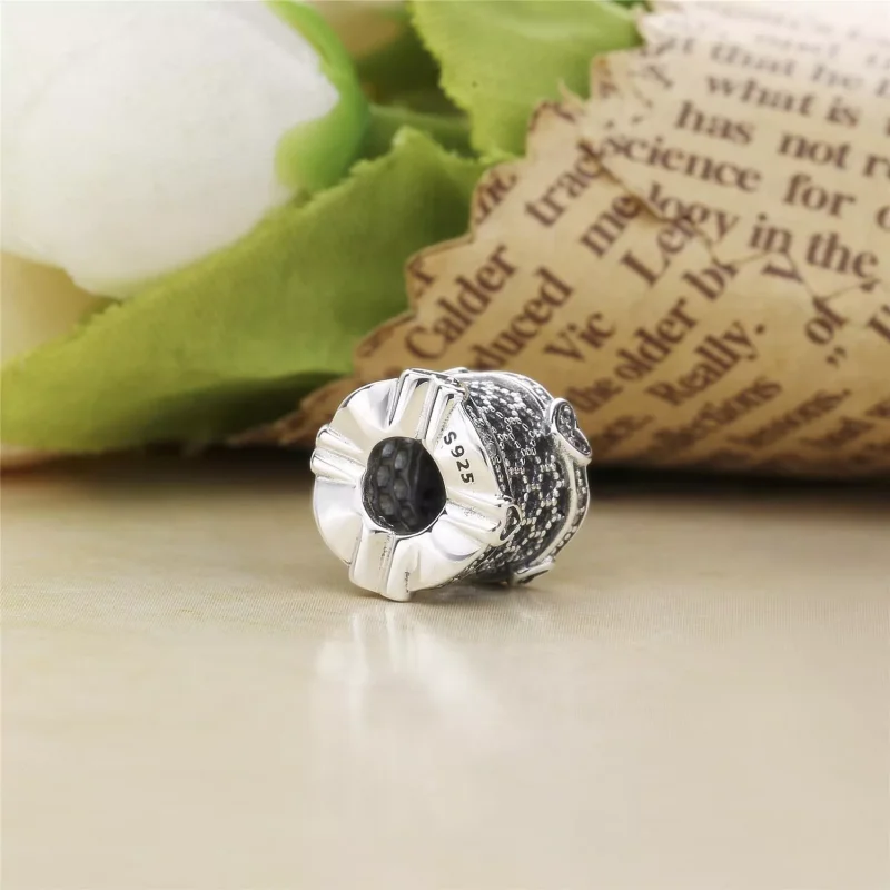 (kuva) Lace of Love Spacer - 797653CZ - Helat | PANDORA - Näytä 4