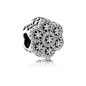 (kuva) PANDORA hopeariipus 791998cz