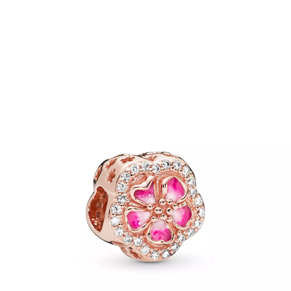 pandora rose hela kuohuviini peach blossom flower
